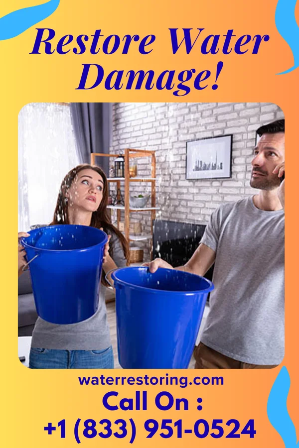 water restoration Peak Cleanup Experts Bainbridge